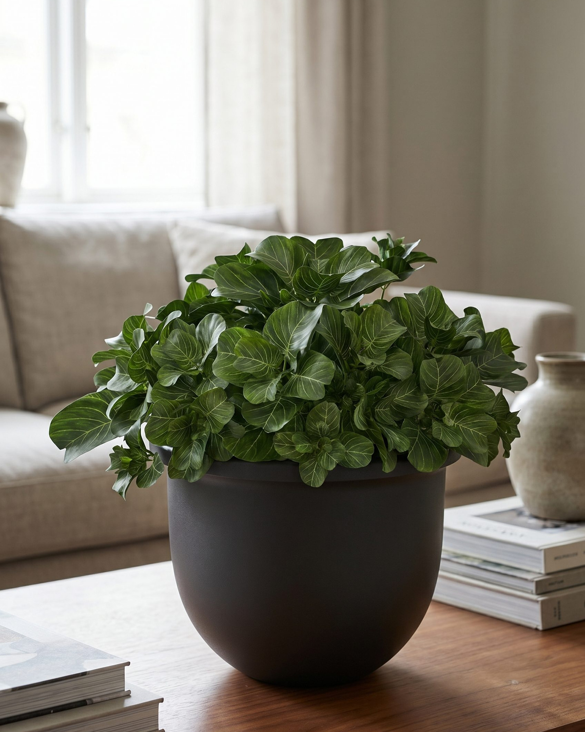 Fotogenic AI WordPress home decor visual showing a plant pot in a shelf scene