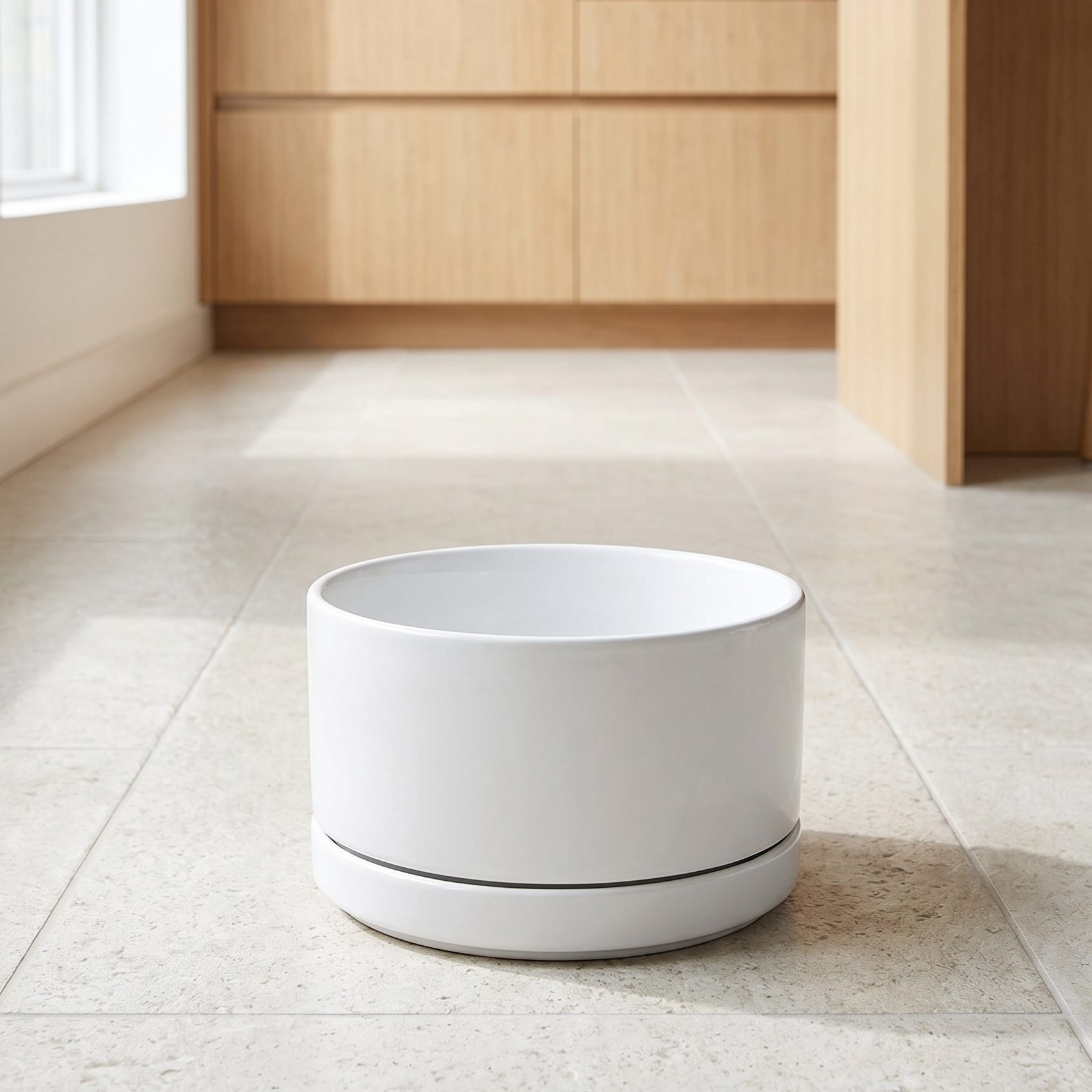 Fotogenic AI clean white pet bowl product photo for pet ecommerce category visuals