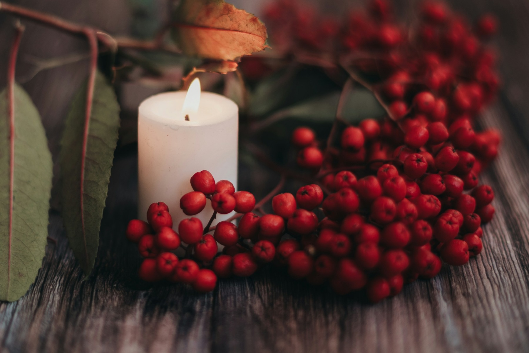 AI Background Generator for Product Photos before image showing white candle with seasonal berries for seasonal set