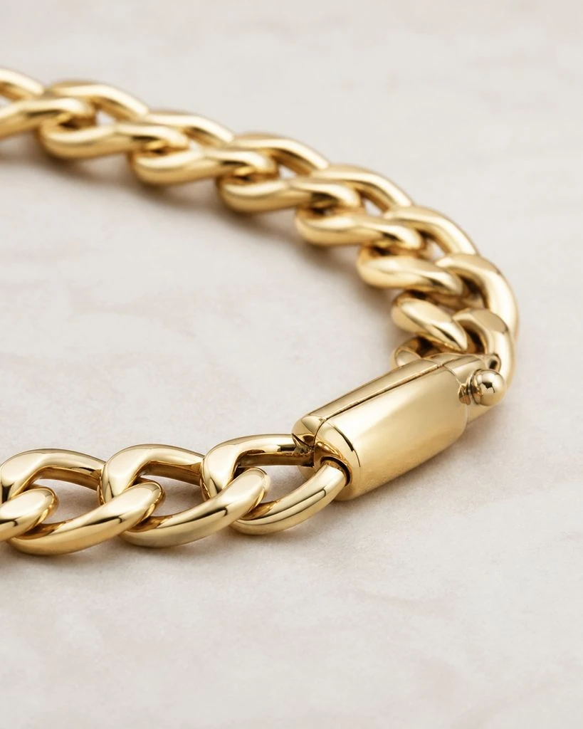 Bracelets - Bracelet Clasp and Link Detail Steal the Style preview
