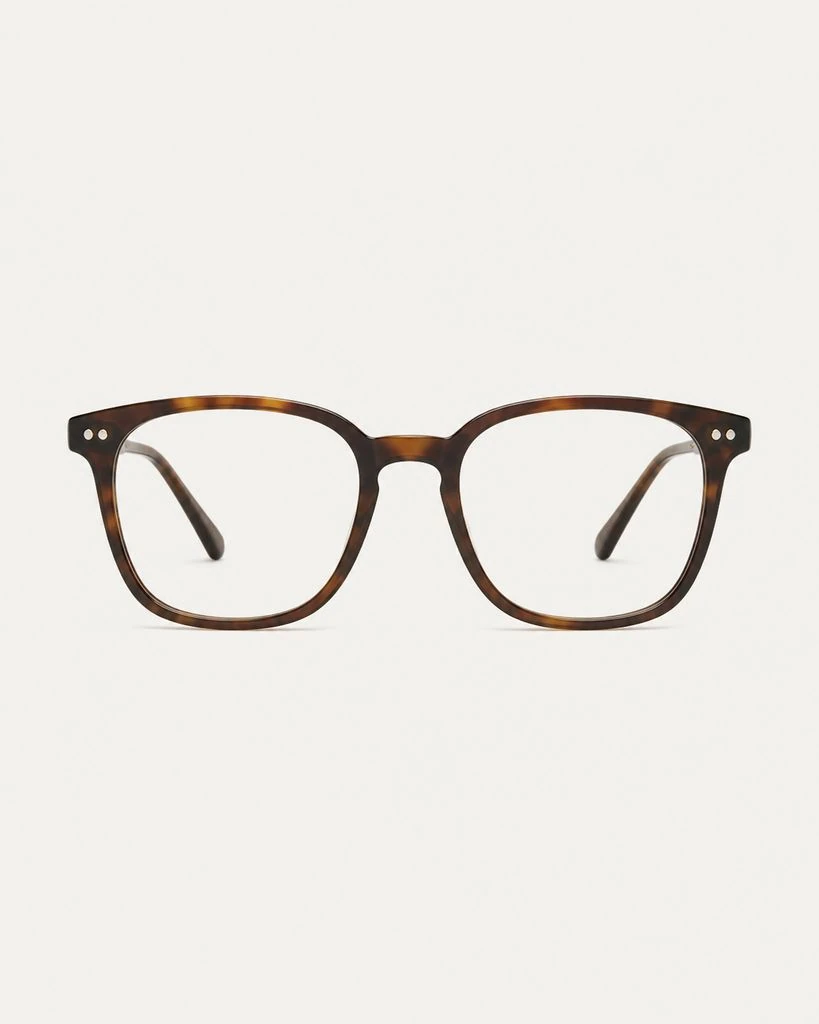 Eyewear - Clean Frame Front Steal the Style preview