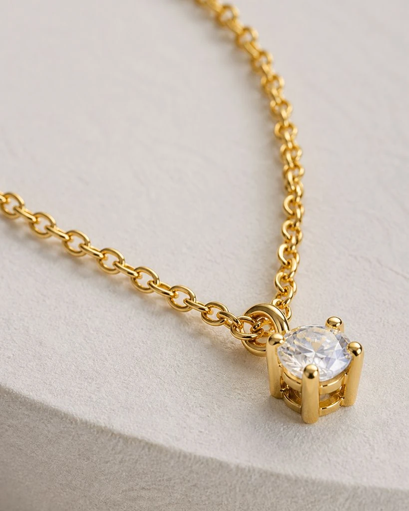 Necklaces - Necklace Clasp and Pendant Detail Steal the Style preview